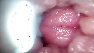 Endoscope camera life autobiography my wife's G spot&period; Educational video